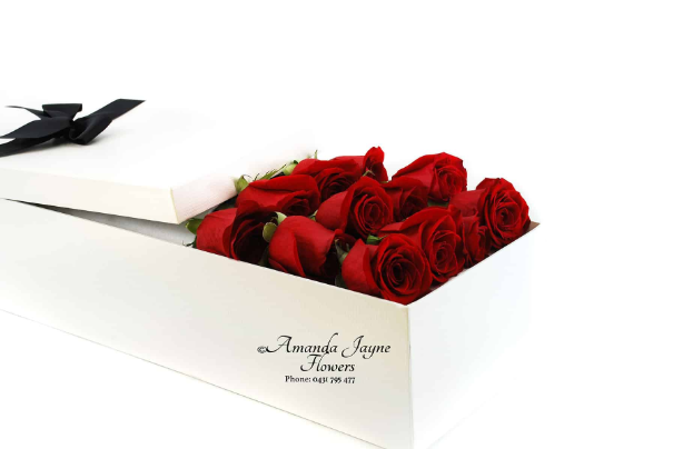 Noosa Dozen red roses in a presentation box