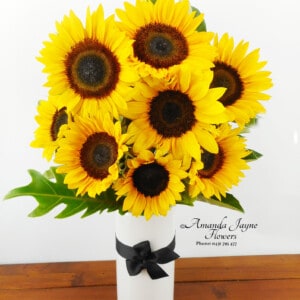 Sunny Coast vase arrangement of beautiful Sun Flowers