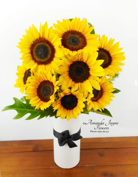 Sunny Coast vase arrangement of beautiful Sun Flowers