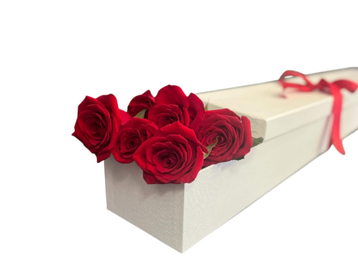 6 long red roses presented in a beutiful roses box.