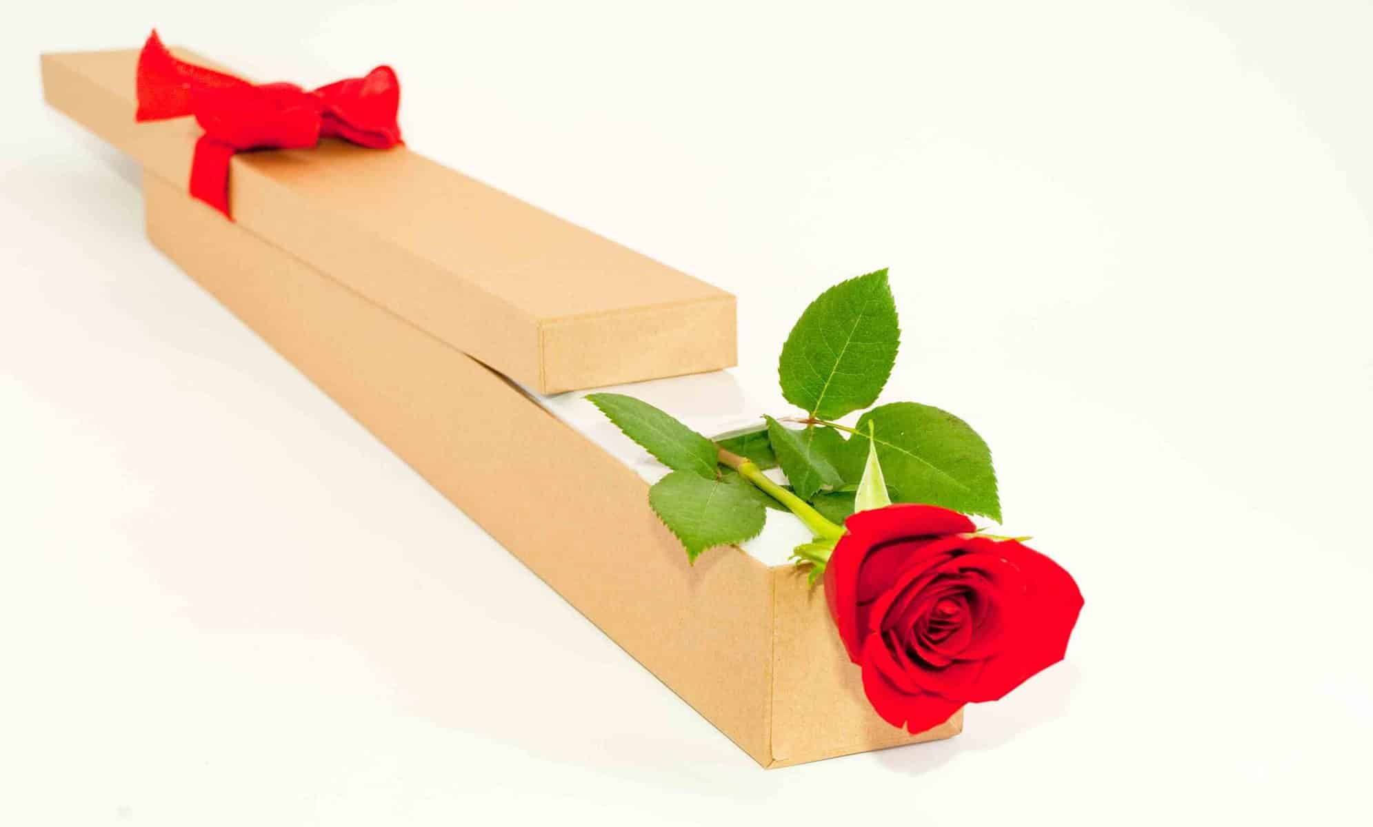 Single red rose, delivered in a presentation box.