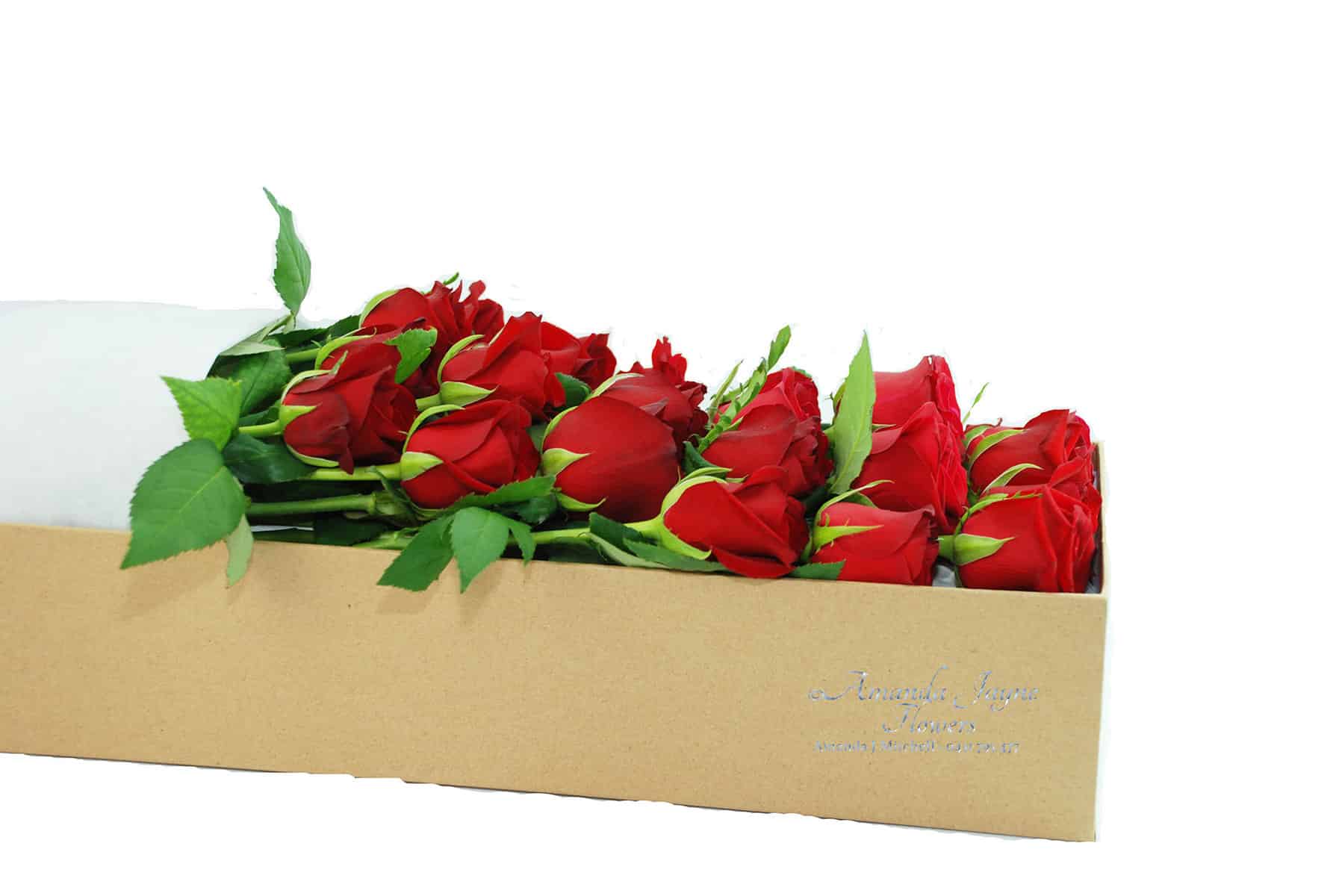 24 Long Stems Red Roses for Valentine’s Day