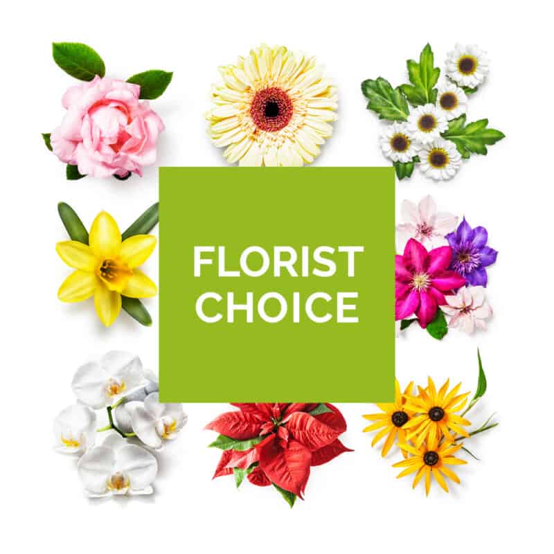 Amanda Jayne Florist Choice