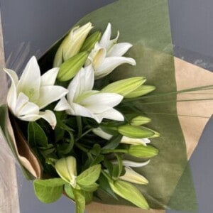 Perfumed Oriental Lilies White