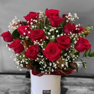 Hat Trick 24 Stunning Red Roses
