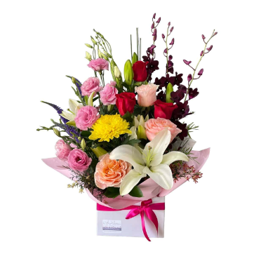 Bright Noosa Blooms Box