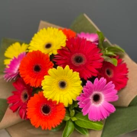 Gerbera Bouquet