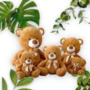 Amanda Jayne Flowers, Noosa Florist Gift Bears