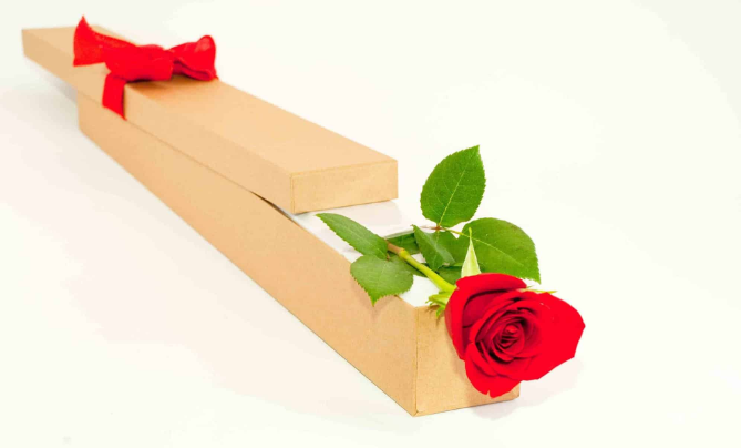 Affection Single Red Rose Box